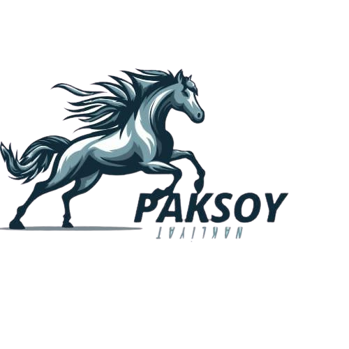 Paksoy Ev Ofis Taşımacılığı